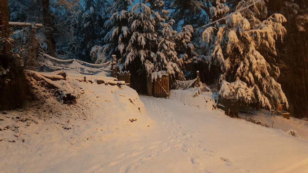 Magda Villa Villa La Angostura Eksteriør bilde